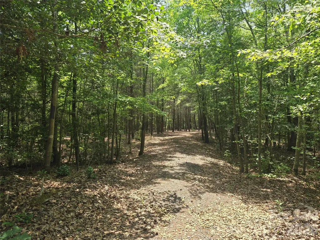 385 Dennis Road Troy NC 27371
