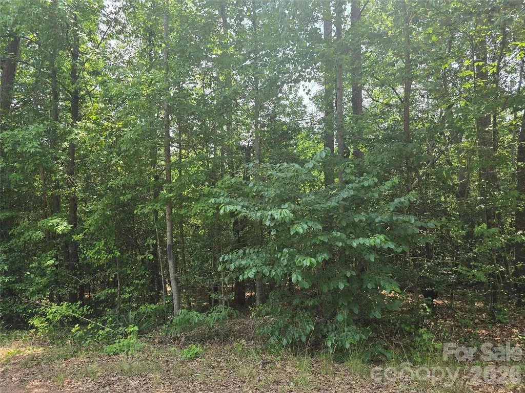 385 Dennis Road Troy NC 27371