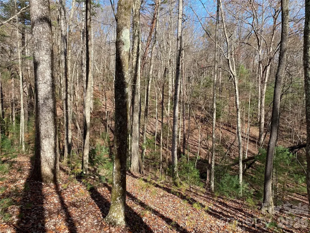 81 Sutters Ridge Road McGrady NC 28649