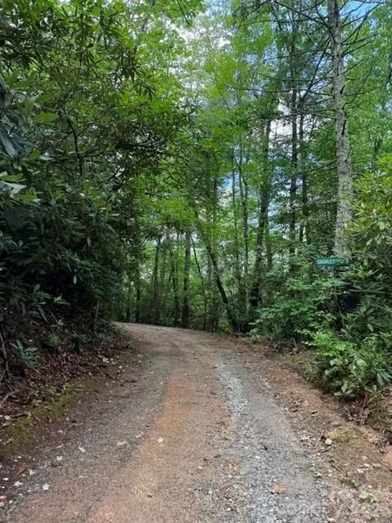 0000 Charles Trail Hendersonville NC 28792