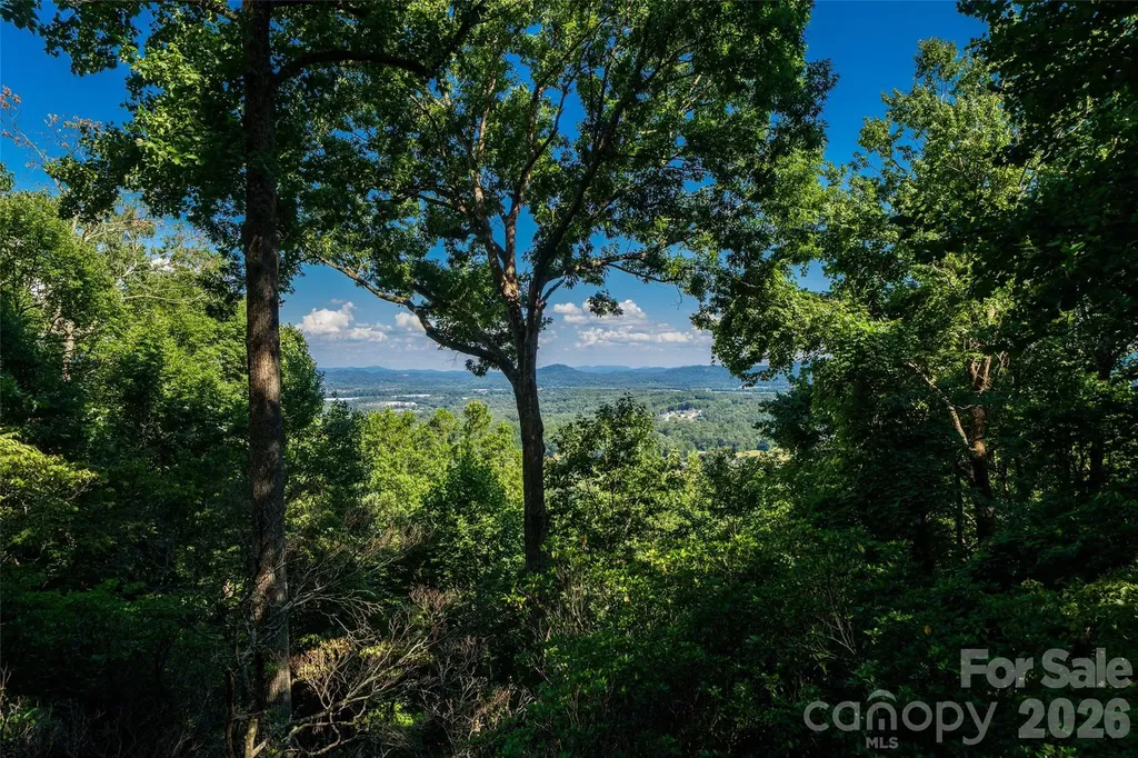 27 Walnut Drive Mills River NC 28759