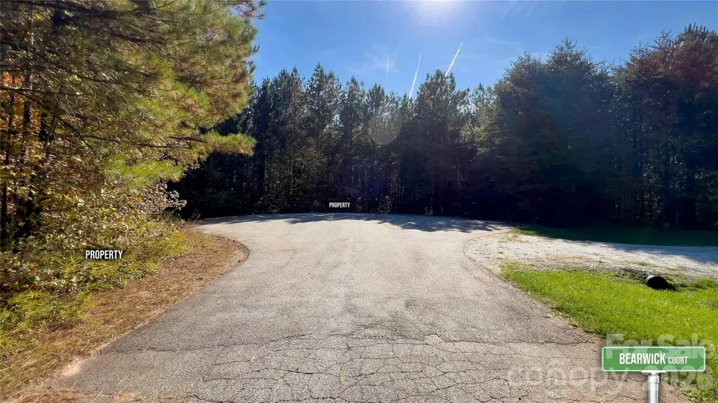 1120 Bearwick Court Woodleaf NC 27054