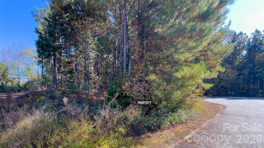 1120 Bearwick Court Woodleaf NC 27054