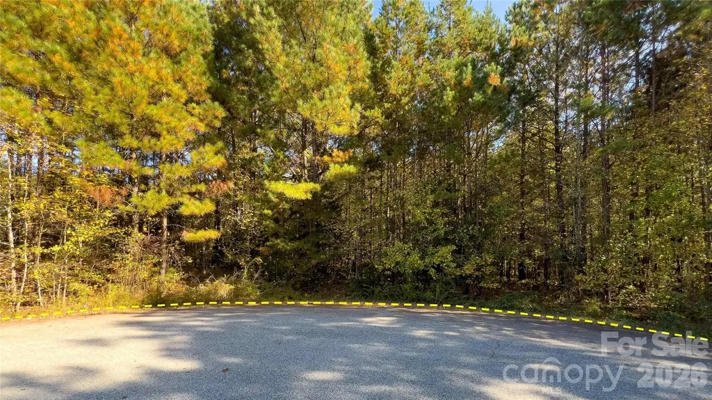 1120 Bearwick Court Woodleaf NC 27054