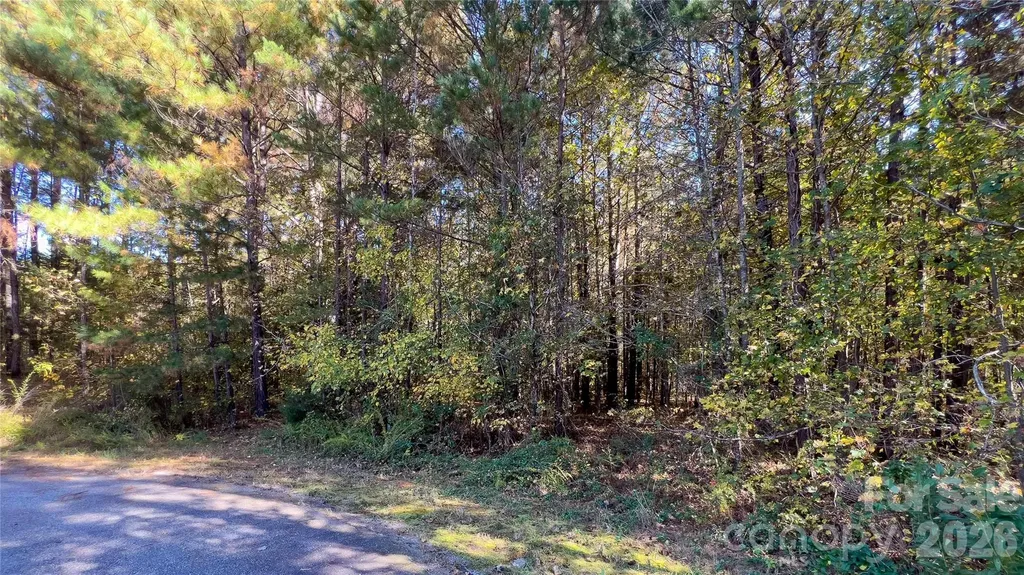 1120 Bearwick Court Woodleaf NC 27054