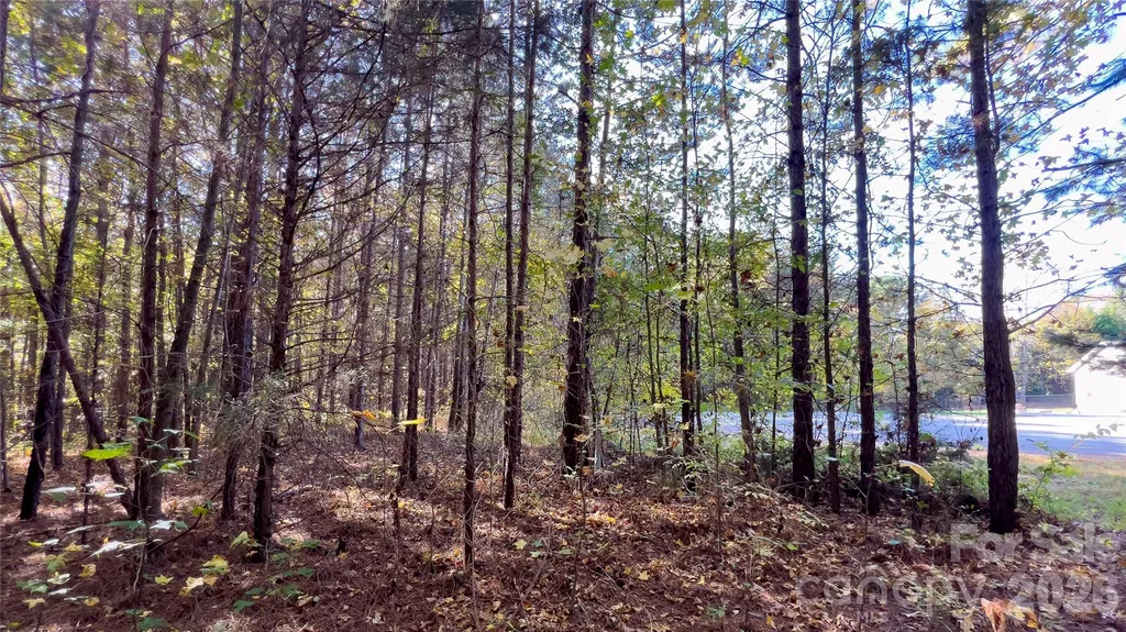1120 Bearwick Court Woodleaf NC 27054