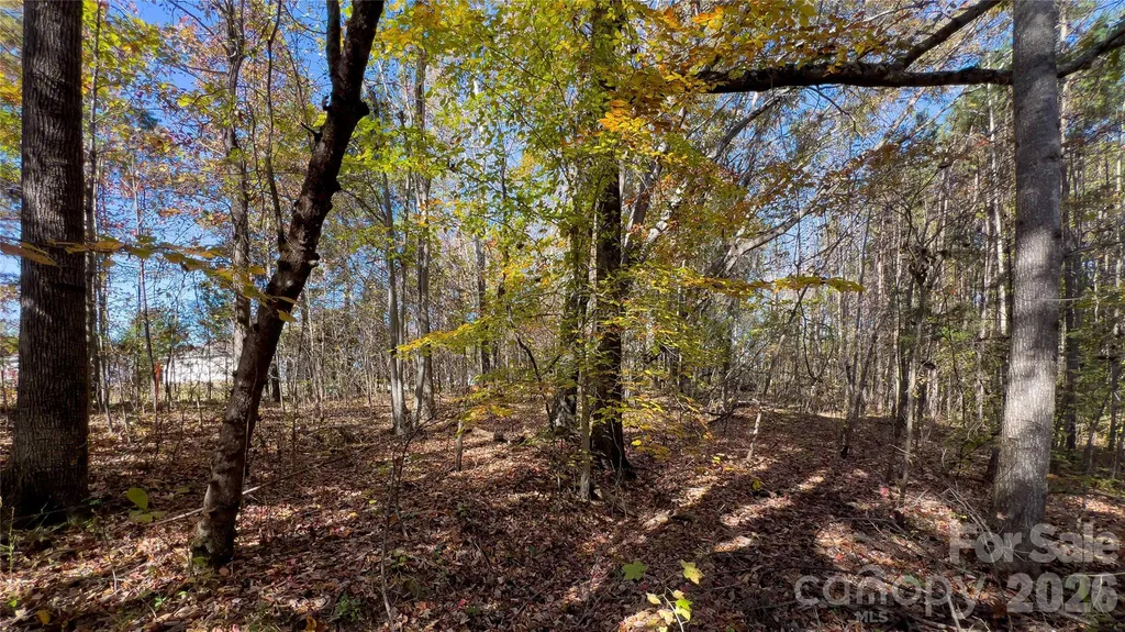 1120 Bearwick Court Woodleaf NC 27054