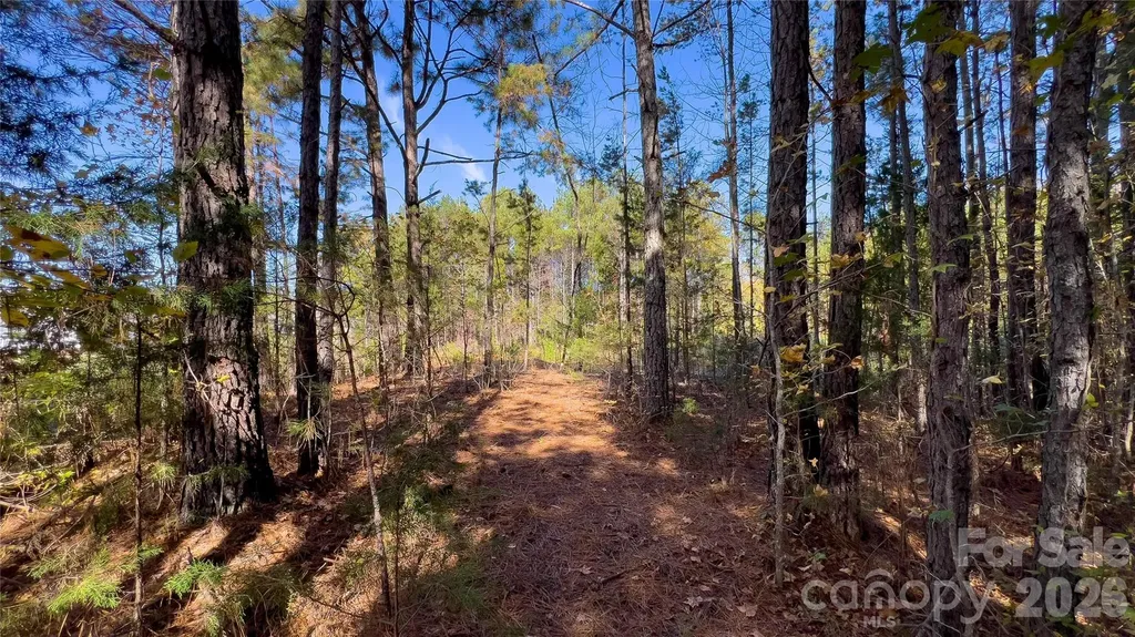 1120 Bearwick Court Woodleaf NC 27054