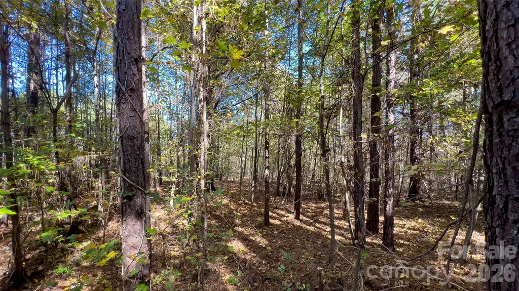 1120 Bearwick Court Woodleaf NC 27054