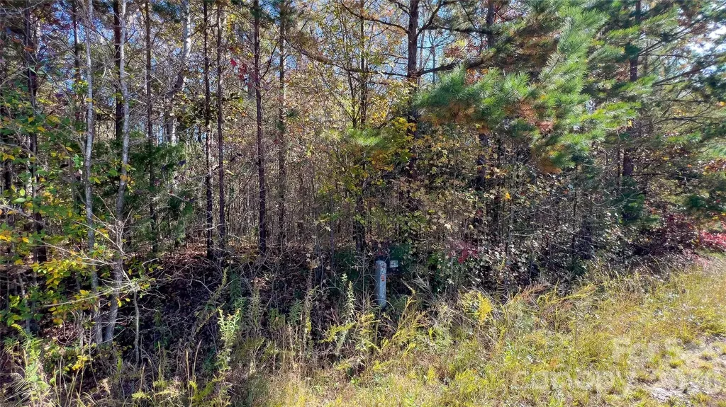 1120 Bearwick Court Woodleaf NC 27054