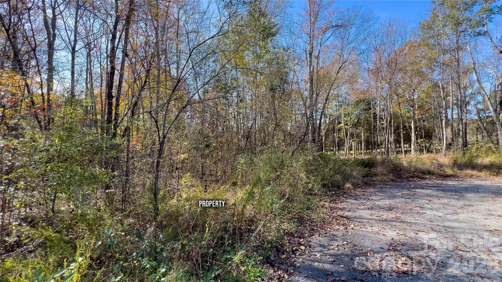 1120 Bearwick Court Woodleaf NC 27054