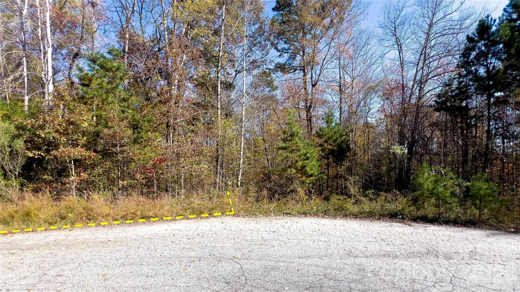 1120 Bearwick Court Woodleaf NC 27054