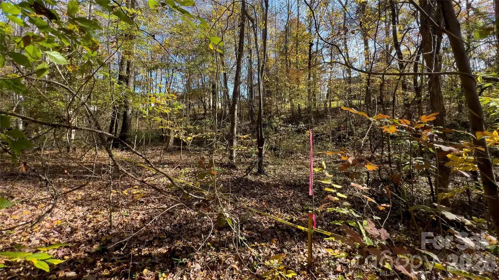 1120 Bearwick Court Woodleaf NC 27054
