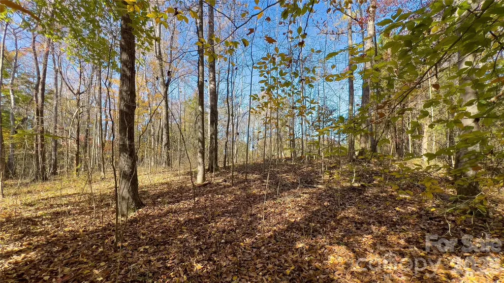 1120 Bearwick Court Woodleaf NC 27054