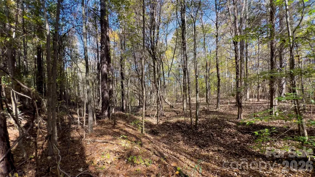 1120 Bearwick Court Woodleaf NC 27054