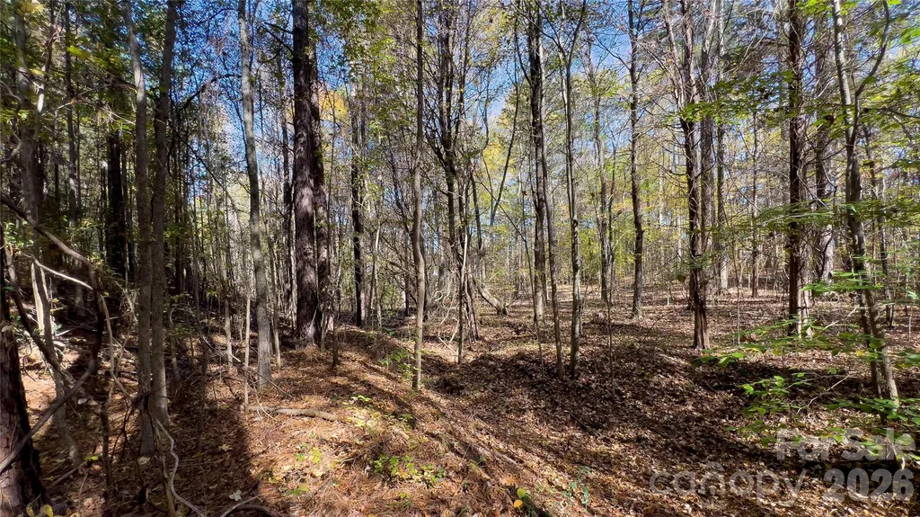 1120 Bearwick Court Woodleaf NC 27054