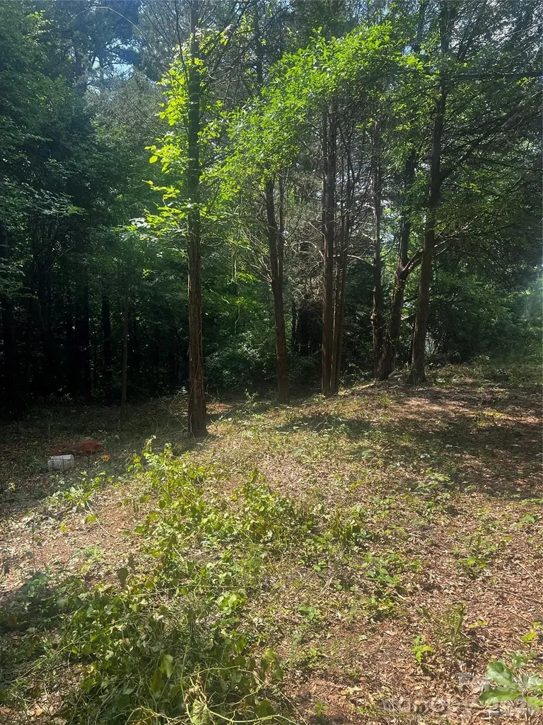 10376 Turnplow Drive Davidson NC 28036