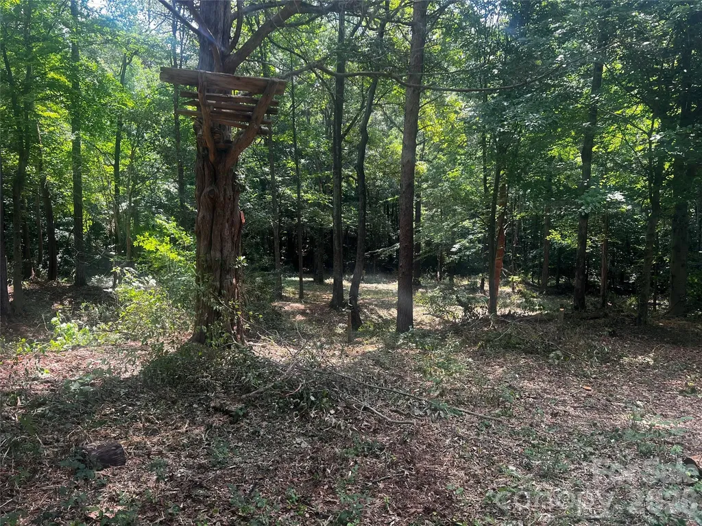 10376 Turnplow Drive Davidson NC 28036