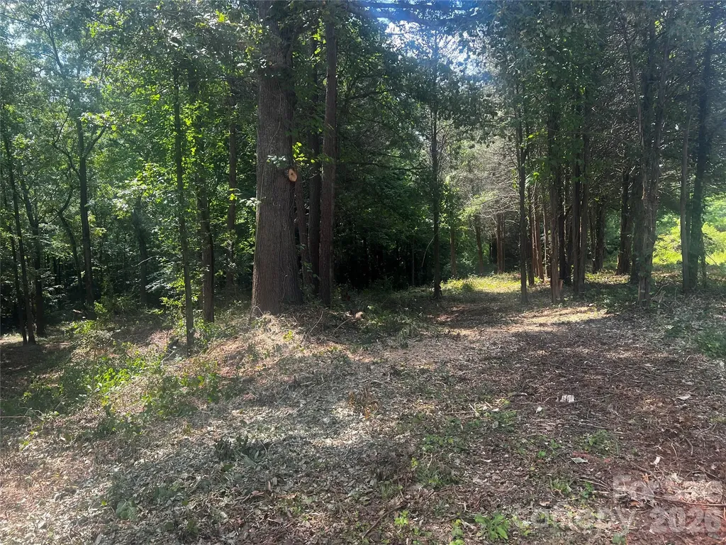 10376 Turnplow Drive Davidson NC 28036