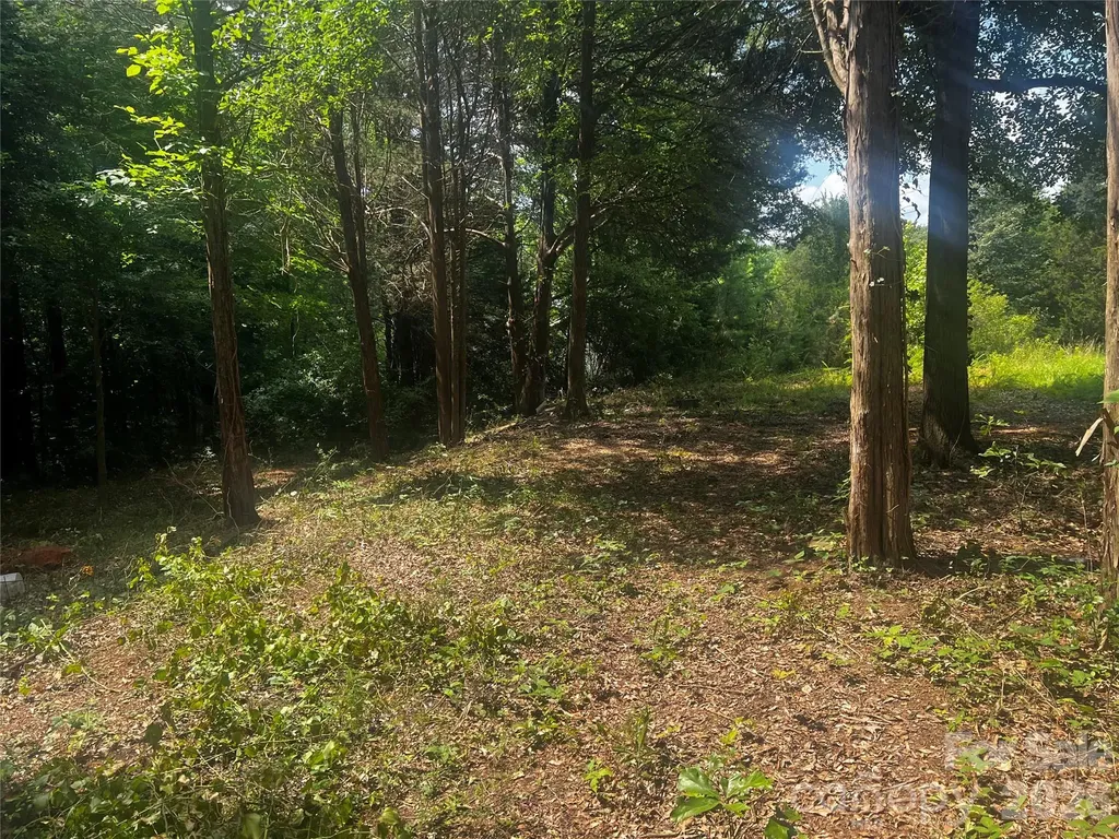 10376 Turnplow Drive Davidson NC 28036