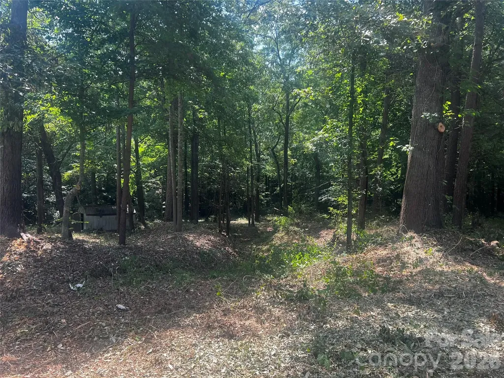 10376 Turnplow Drive Davidson NC 28036