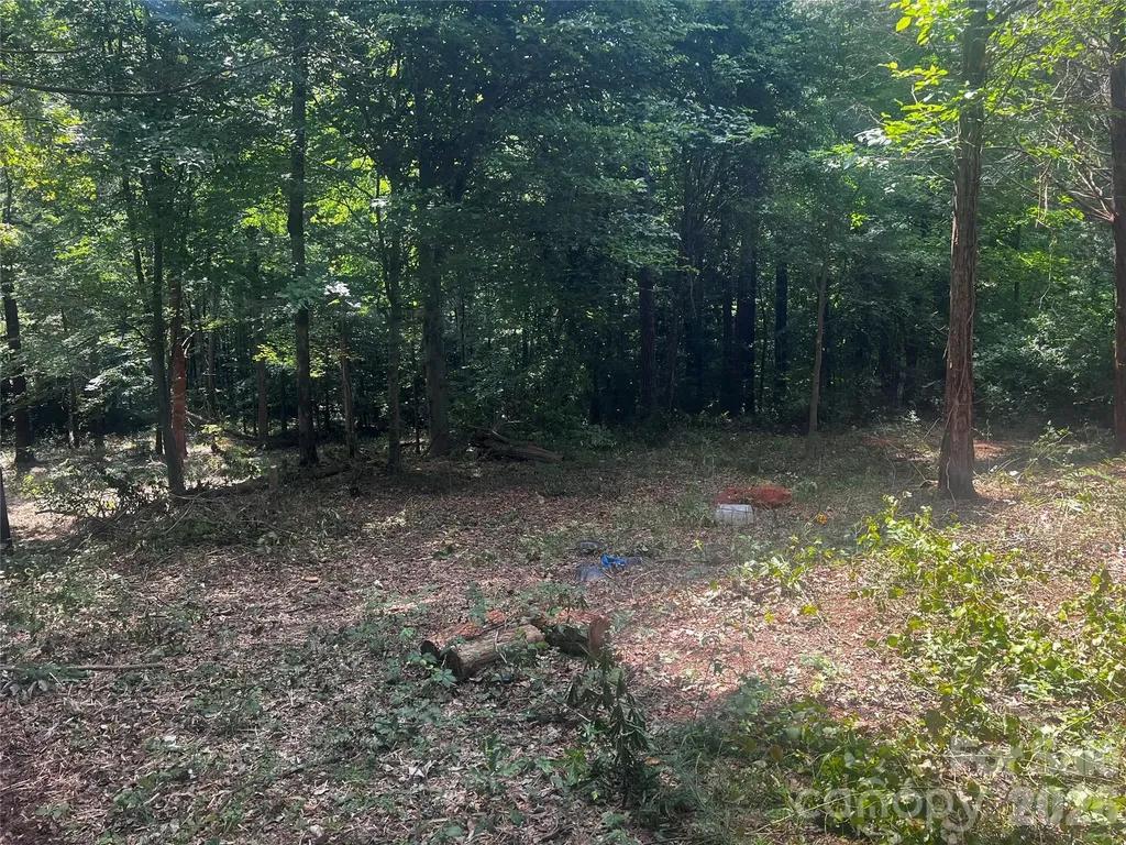 10376 Turnplow Drive Davidson NC 28036