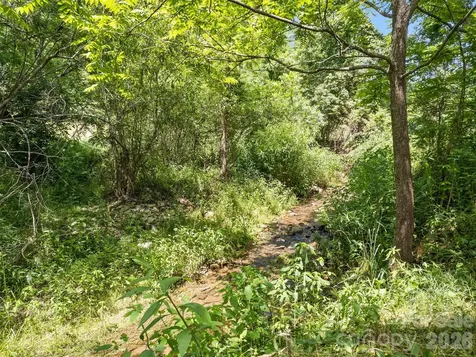 309 Sugar Creek Road Leicester NC 28748