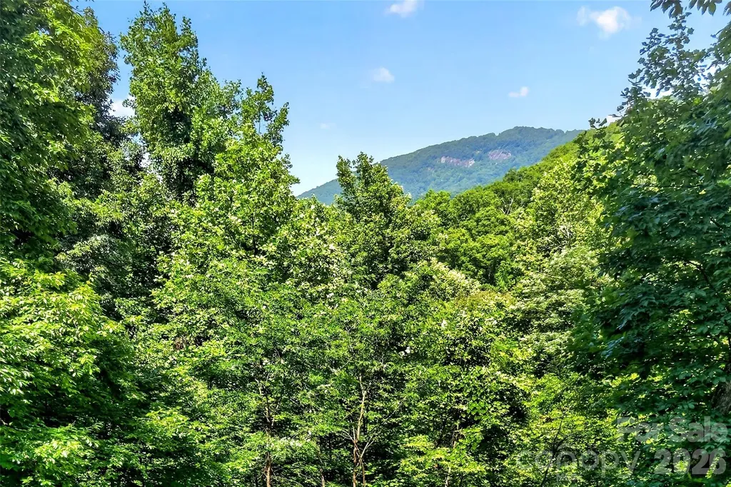 771 Sally Gap Road Old Fort NC 28762