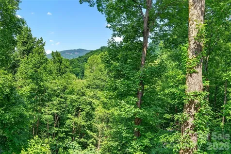 771 Sally Gap Road Old Fort NC 28762