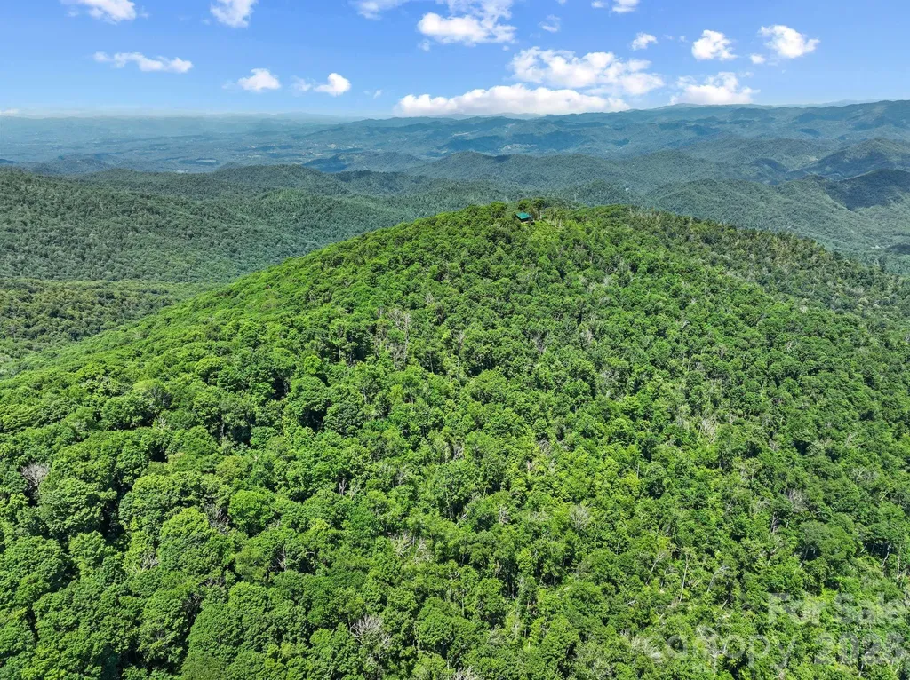 300 Licklog Mountain Trail Burnsville NC 28714