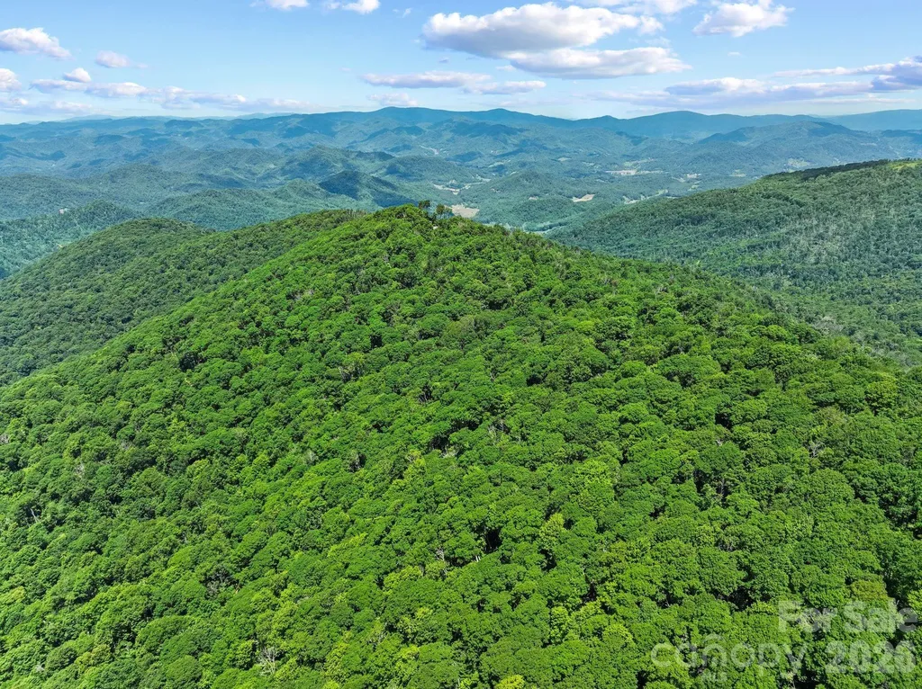 300 Licklog Mountain Trail Burnsville NC 28714