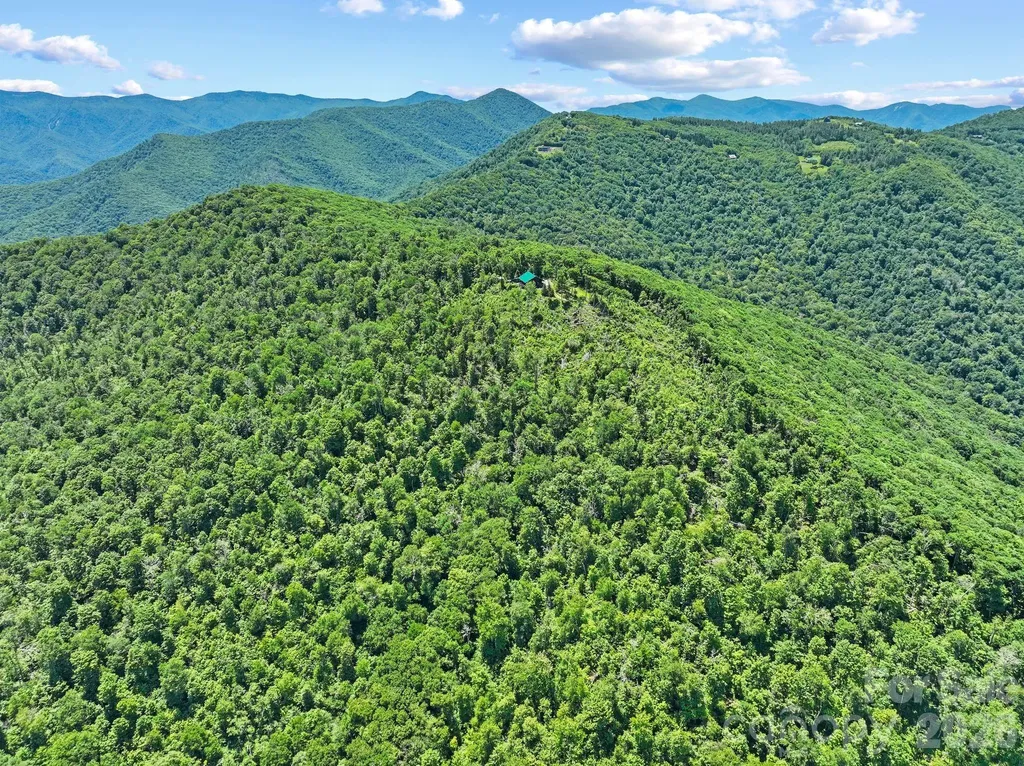 300 Licklog Mountain Trail Burnsville NC 28714
