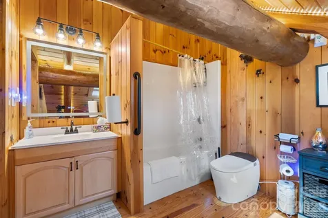 300 Licklog Mountain Trail Burnsville NC 28714