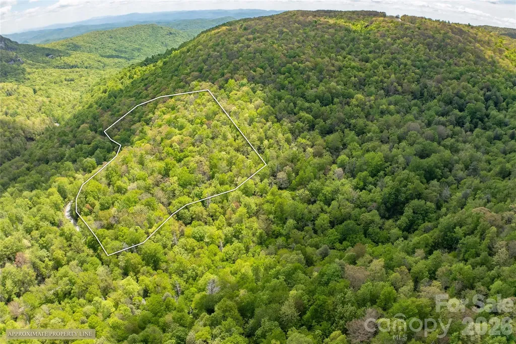 Tbd Long Ridge Road Lake Toxaway NC 28747