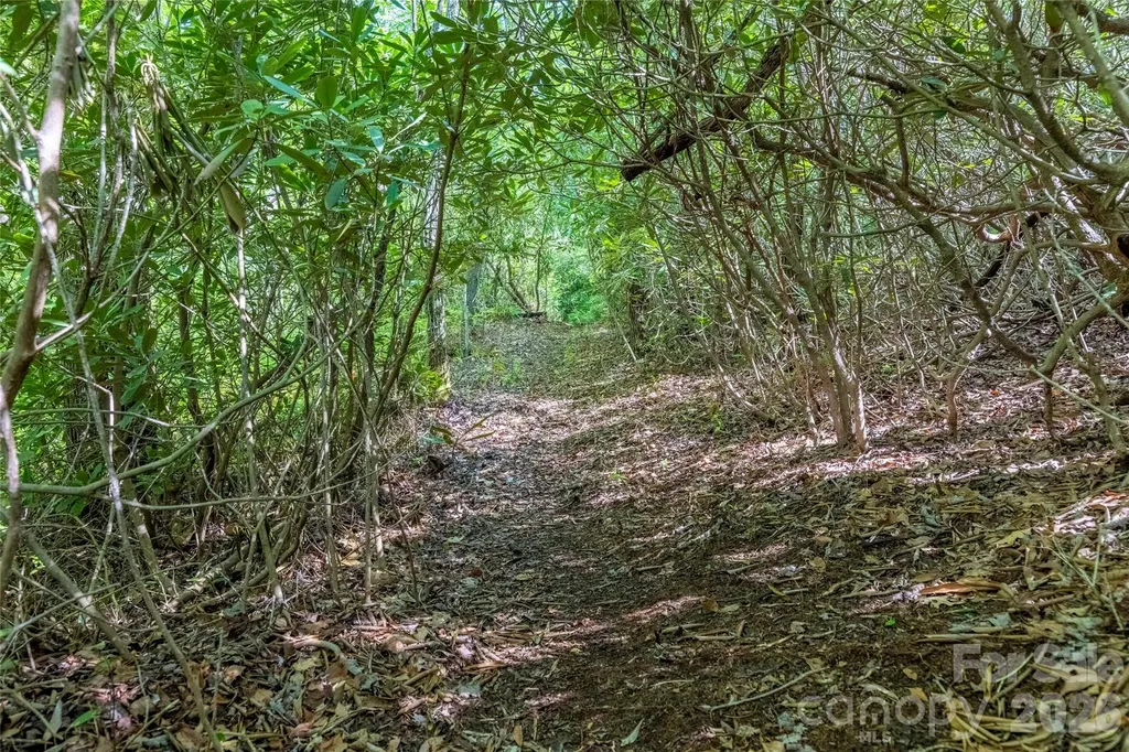 Tbd Long Ridge Road Lake Toxaway NC 28747