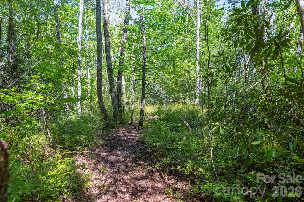 Tbd Long Ridge Road Lake Toxaway NC 28747