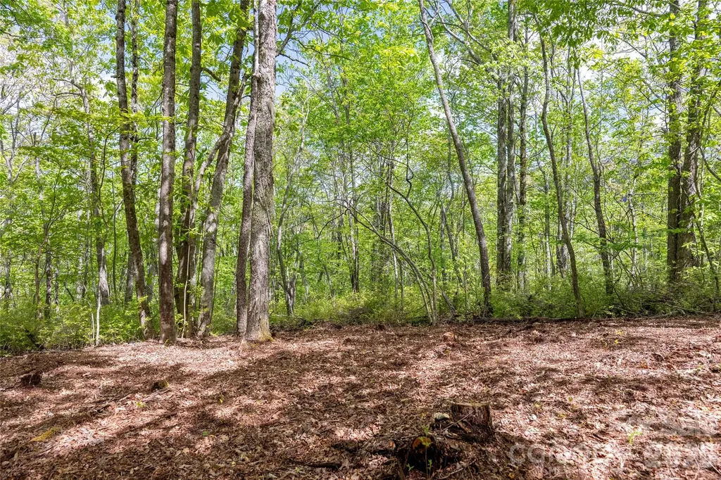 Tbd Long Ridge Road Lake Toxaway NC 28747
