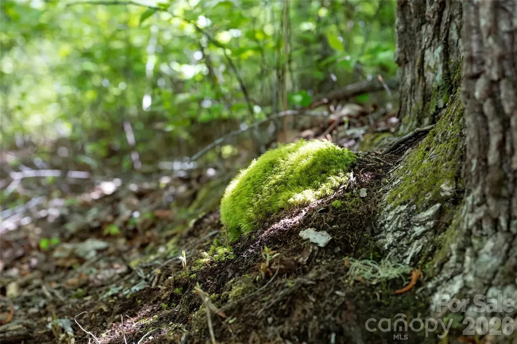 Tbd Long Ridge Road Lake Toxaway NC 28747