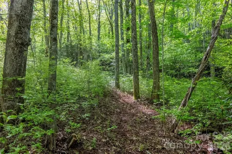 Tbd Long Ridge Road Lake Toxaway NC 28747