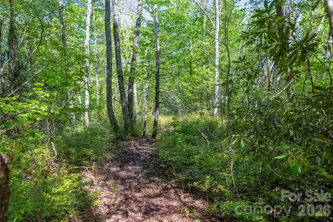 Tbd Long Ridge Road Lake Toxaway NC 28747