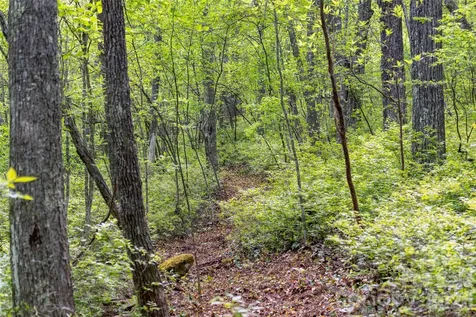 Tbd Long Ridge Road Lake Toxaway NC 28747