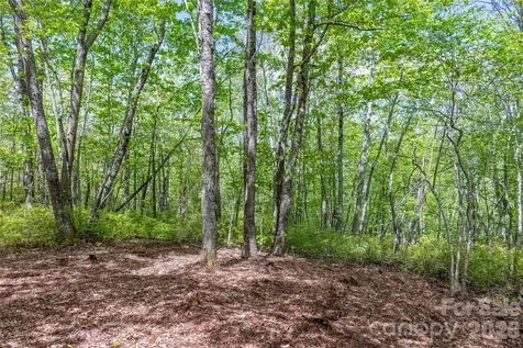 Tbd Long Ridge Road Lake Toxaway NC 28747