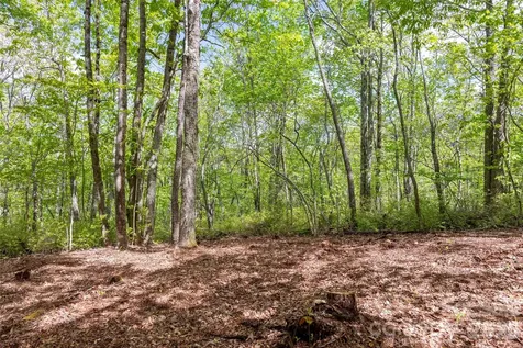 Tbd Long Ridge Road Lake Toxaway NC 28747