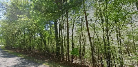 0 Ridge Lane Wilkesboro NC 28697