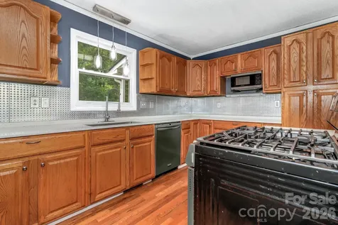 11 Aquarian Way Leicester NC 28748
