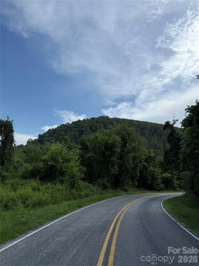 1142 Rixhaven Drive Saluda NC 28773