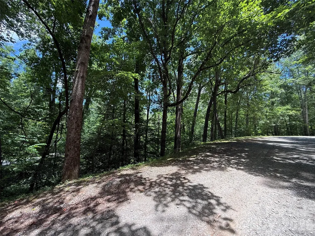 1142 Rixhaven Drive Saluda NC 28773