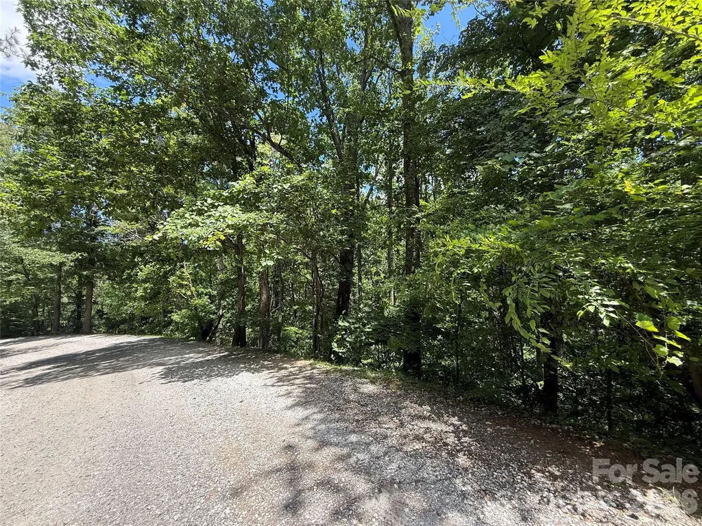 1142 Rixhaven Drive Saluda NC 28773