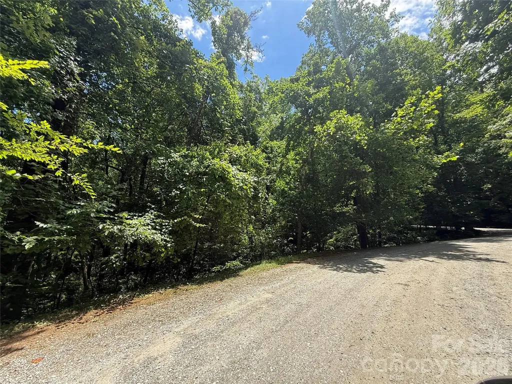 1142 Rixhaven Drive Saluda NC 28773