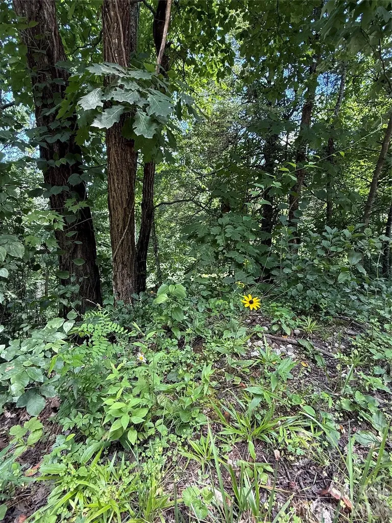 1142 Rixhaven Drive Saluda NC 28773